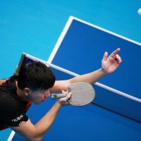 Forum tennis de table : qu’y trouve-t-on ?