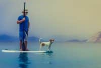 Leash Paddle : comment le choisir ?