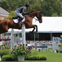 Le saut d’obstacles: La discipline phare en équitation