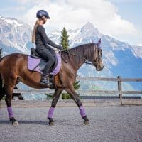Activités équestres et sportives : le programme idéal pour les colonies de vacances estivales