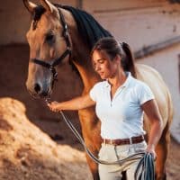 Aménager une écurie : comment choisir les bons équipements ?