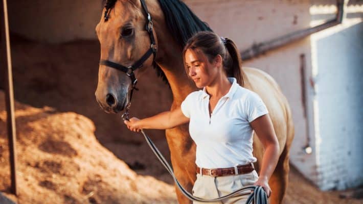 Aménager une écurie : comment choisir les bons équipements ?